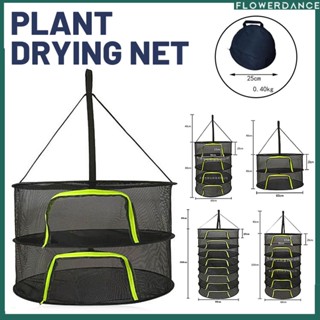 (มีซิป) อัพเกรด 2/4/6/8 ชั้นพับแห้งสุทธิ Fly-proof Drying Net Bag ตะกร้าอเนกประสงค์แบบพกพาพับเก็บได้กระเป๋าสำหรับสมุนไพร/ดอกไม้ปลา