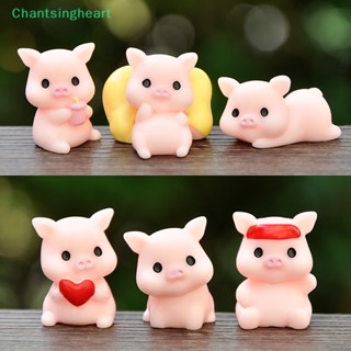 &lt;Chantsingheart&gt; โมเดลฟิกเกอร์ รูปหมูน่ารัก ขนาดเล็ก สําหรับตกแต่งบ้าน สวน