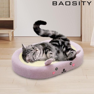 [Baosity] แผ่นบอร์ดที่นอน เฟอร์นิเจอร์ ของเล่น สําหรับแมว