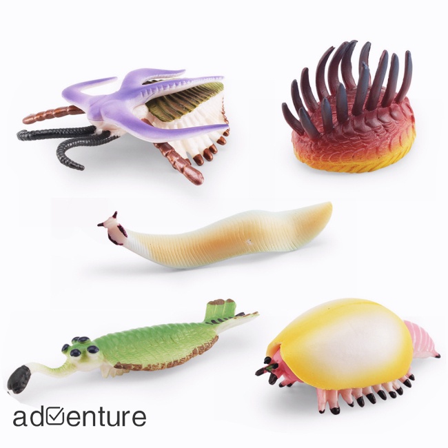 adven-โมเดลฟิกเกอร์-cambrian-prehistoric-marine-life-ของเล่นสําหรับเด็ก