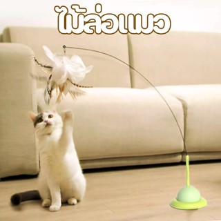 🐱Cat toy🐱ไม้ล่อแมว ติดพื้นไม้ตกแมว ของเล่นล่อแมว ของเล่นก้านยาว มีถ้วยดูด 19 ใบ ขนนก ถอดออกได้ สําหรับแมว