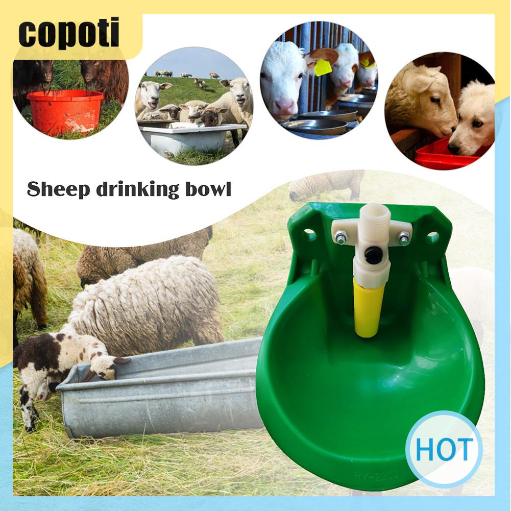 copoti-น้ําพุอัตโนมัติ-ประหยัดเวลา-และแรง-สําหรับฟาร์มแกะ