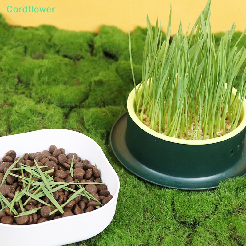 lt-cardflower-gt-ถ้วยหญ้า-ใส่ขนมขบเคี้ยว-สําหรับสัตว์เลี้ยง-แมว