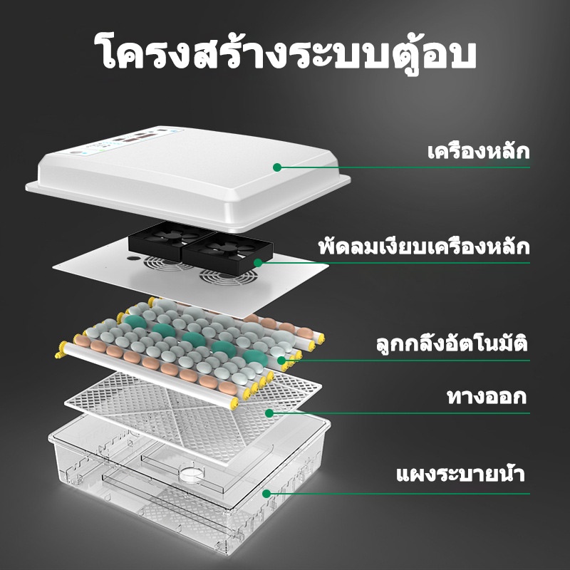 ถูก-เครื่องฟักไข่อัตโนมัติ-176-eggs-incubator-ตู้ฟักไข่อัตโนมัติ-เครื่องฟักไข่นก-ตู้ฟักไข่ไก่-ระบบอัตโนมัติ-แถมไฟฉาย