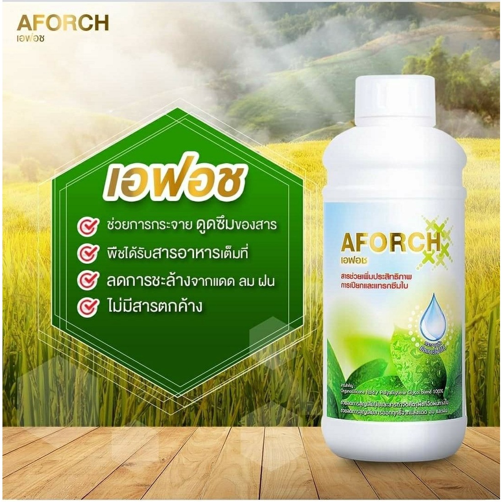 สารจับใบ-เอฟอช-aforch-สารจับใบ-ปุ๋ยน้ำเอฟอช-ขนาด1000cc-ชนิดเร่งดูดซึมไว-ของแท้-100