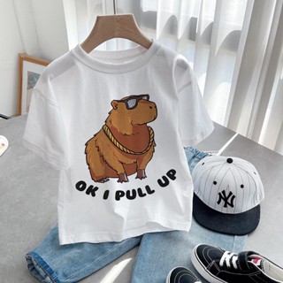 เสื้อยืดลําลอง ลายการ์ตูน Capybara Kawaii น่ารัก สําหรับเด็กผู้หญิง และเด็กผู้ชาย