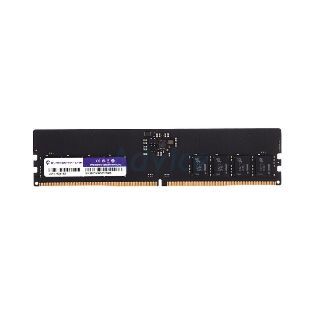 ram-ddr5-4800-16gb-blackberry