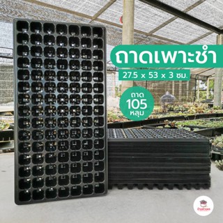 ถาด 105 หลุม ถาดเพาะชำ ถาดเพาะกล้าไม้ ถาดเพาะเมล็ด