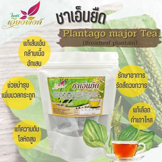 ชาเอ็นยืด หญ้าเอ็นยืด หรือ ผักกาดน้ำ บรรจุ 15 ซองชา Common plantain tea สินค้าคุณภาพ มาตรฐานผลิตภัณฑ์ชุมชน ส่วนผสมสำค...