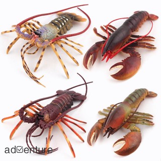 Adven โมเดลฟิกเกอร์ รูปกุ้งก้ามกราม บอสตัน ออสเตรเลียจําลอง ของขวัญสําหรับเด็ก