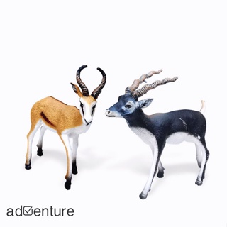 Adven โมเดลฟิกเกอร์สัตว์ป่าจําลอง สมจริง Antelope Springbok สําหรับตกแต่ง 2 ชิ้น