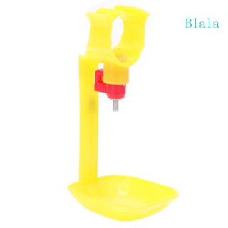 Blala เครื่องให้อาหารสัตว์ปีก อัตโนมัติ จุกนมสเตนเลส สําหรับไก่ เป็ด