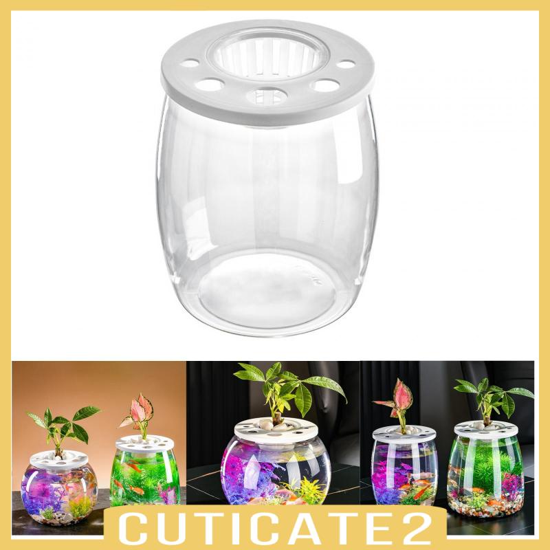 cuticate2-ชามปลา-แบบรูกลวง-diy-สําหรับตู้ปลา-หอพัก-ห้องนอน-คาเฟ่-ร้านอาหาร