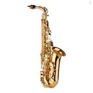 Audioworld AS200 Eb Alto Saxophone เครื่องดนตรีอัลโตแซกโซโฟน เคลือบทองเหลือง พร้อมกระเป๋าเก็บ ถุงมือ สายรัด ผ้าทําความสะอาด แปรง