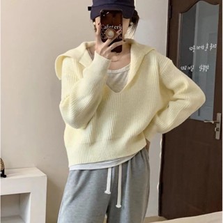 เสื้อแขนยาว ผ้าถัก ขนนิ่ม สไตล์เกาหลี ฤดูใบไม้ร่วง ฤดูหนาว สําหรับผู้หญิง FU67