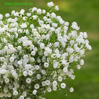 Aaairspecial ช่อดอกไม้ประดิษฐ์ ยิปโซพลาสติก สีขาว 15 นิ้ว สําหรับตกแต่งบ้าน งานแต่งงาน DIY TH
