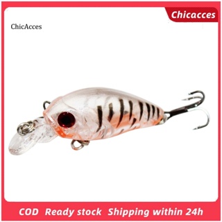 Chicacces เหยื่อตกปลาพลาสติกแข็ง รูปดวงตา 3D ขนาด 4.5 ซม. 1 ชิ้น