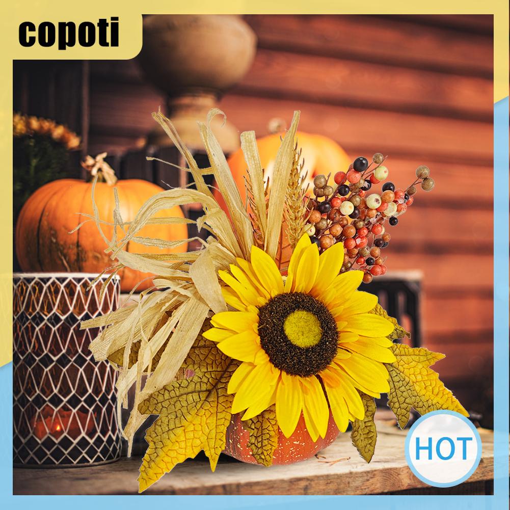 copoti-ฟักทองเมเปิ้ล-สําหรับตกแต่งบ้าน-ร้านอาหาร-เทศกาล