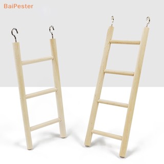 [BaiPester] ของเล่นบันไดปีนเขา พร้อมตะขอ สําหรับนกแก้ว