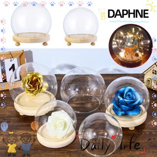 ♫Daphne♫ แจกันแก้วใส ฐานไม้ ทรงกลม กันฝุ่น สําหรับใส่ดอกไม้