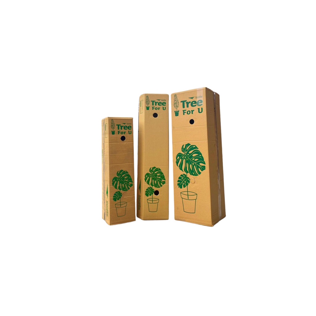 กล่องลูกฟูก-5-ชั้น-กล่องใส่ต้นไม้-แพ็ค-10-ใบ-กล่องกระดาษลูกฟูก-ลังกระดาษ-กล่องลัง-กล่องกระดาษ-ส่งฟรีทั่วประเทศ