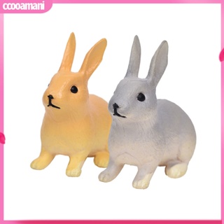 Ccooamani|  ตุ๊กตากระต่ายจิ๋ว สําหรับตกแต่งสวนขวด ภูมิทัศน์ 2 ชิ้น