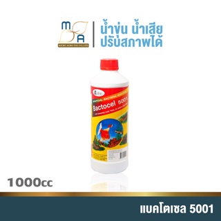 น้ำยาดับกลิ่น รักษาน้ำในบ่อปลา แบคโตเซล 5001 Bactocel 5001(1000Ml) น้ำมีกลิ่นเหม็น รักษาสภาพน้ำ ลดแอมโมเนีย ไนไตรท์ไนเตร