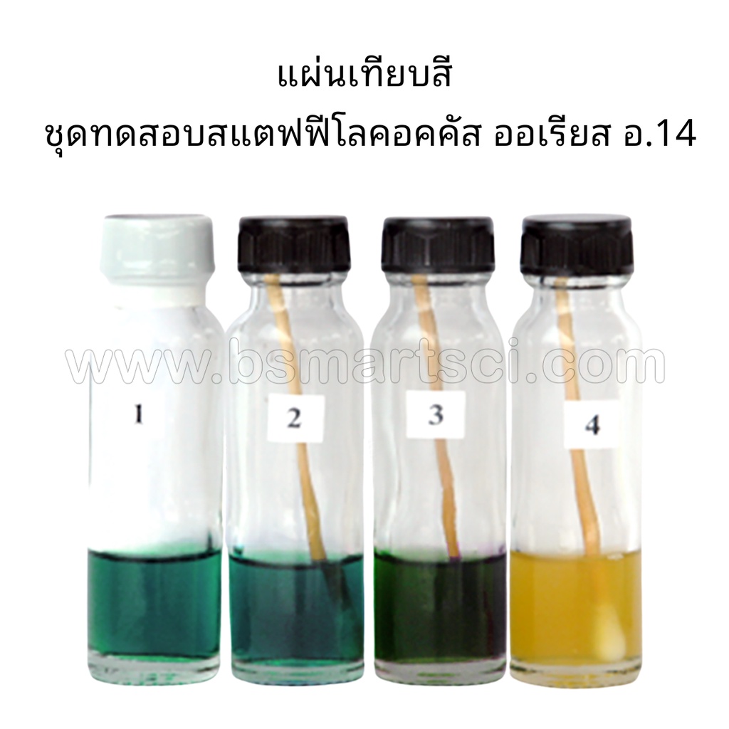 ชุดทดสอบสแตฟฟีโลคอคคัส-ออเรียส-อ-14