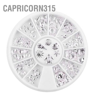 Capricorn315 12grids/ชุดหมุดโลหะเงินตกแต่ง DIY เล็บแต่งเล็บ Charm Disc