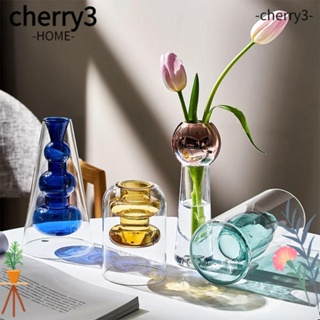 Cherry3 แจกันดอกไม้ แบบแก้ว สองชั้น สไตล์นอร์ดิก
