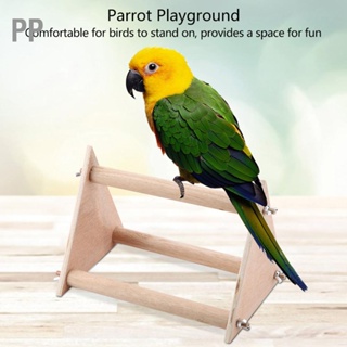 PP Parrot Stand Perch Bird Pet Standing Playground Funny Wooden กิจกรรม Playstand