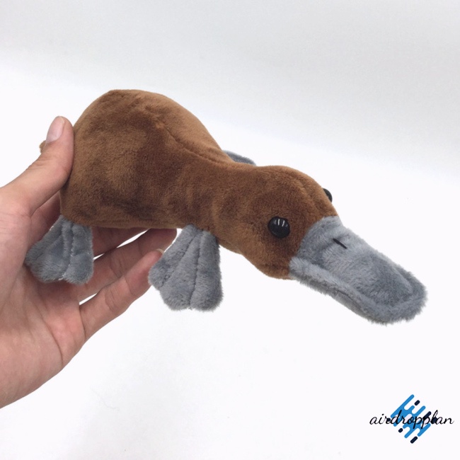 aird-platypus-ตุ๊กตานุ่ม-รูปการ์ตูนน่ารัก-ของขวัญวันเกิด-สําหรับเด็ก