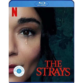 แผ่น Bluray หนังใหม่ The Strays (2023) คนหลงทาง (เสียง Eng /ไทย | ซับ Eng/ไทย) หนัง บลูเรย์