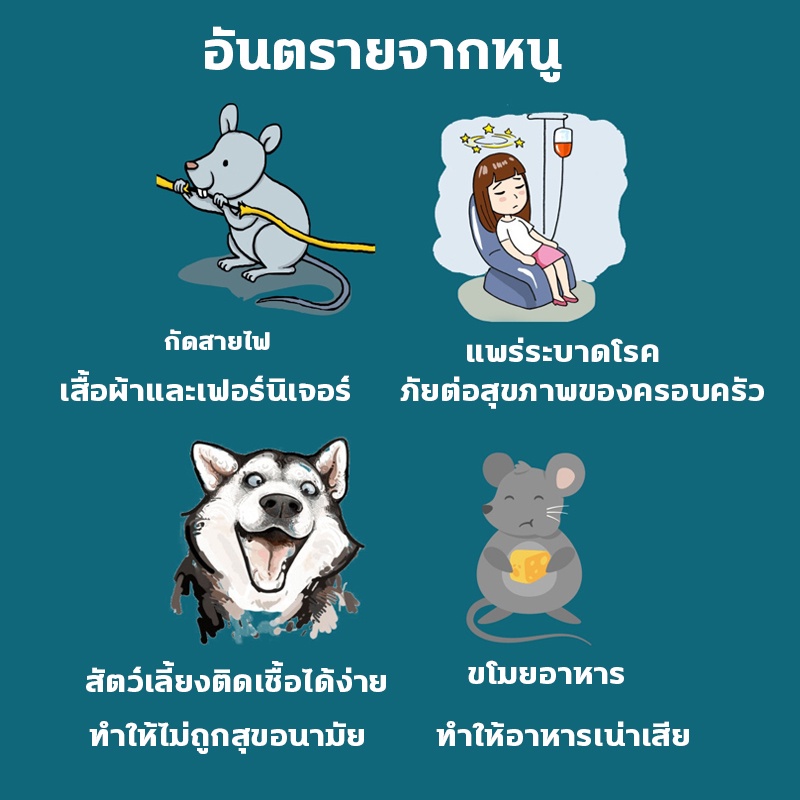 100-เจลไล่หนู-ไล่หนู-เครื่องไล่หนู-สเปรย์ไล่หนู-ใช้ง่าย-ไร้สารพิษและปลอดภัย-ไม่มีผลกระทบต่อเด็กและสัตว์เลี้ยง120g