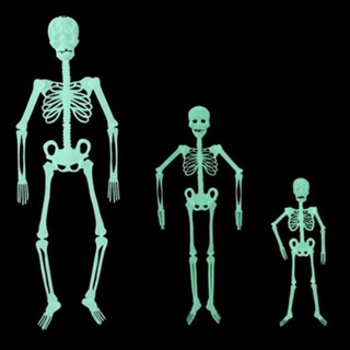 ｛Halloween Decor｝โครงกระดูกมนุษย์ 32/90/150 ซม. สําหรับตกแต่งปาร์ตี้ฮาโลวีน