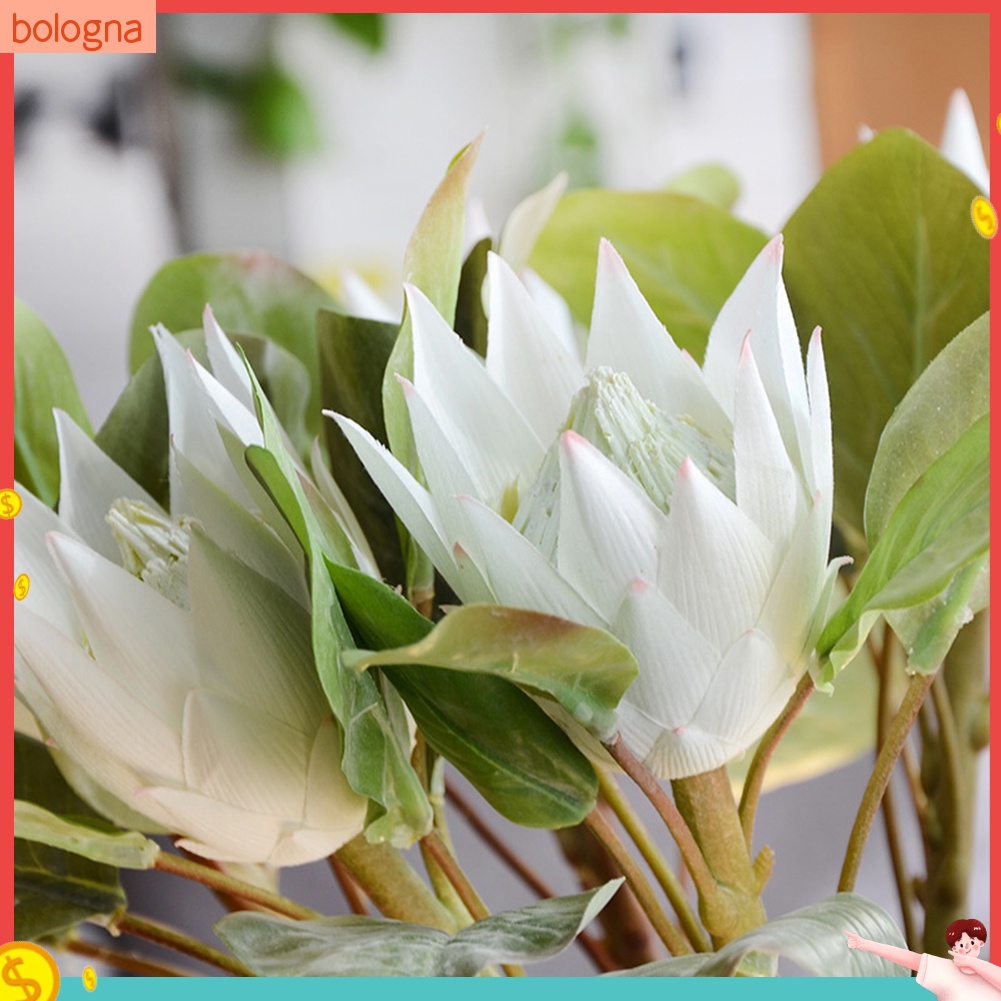 bologna-1-ชิ้น-ราชา-โปรตีน-ดอกไม้ประดิษฐ์-พืชปลอม-diy-ช่อดอกไม้งานแต่งงาน-ตกแต่งปาร์ตี้
