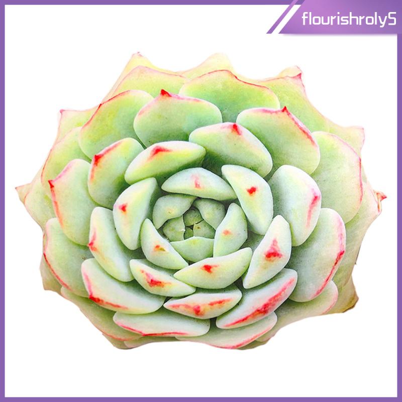 flourishroly5-หมอนโซฟาจําลอง-20-นิ้ว-สําหรับห้องเด็ก