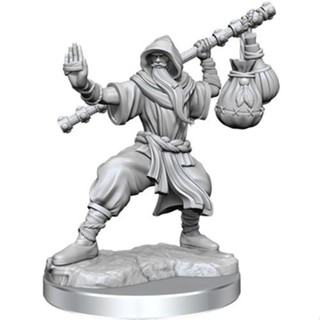 D&D Frameworks W1 - Male Human Monk