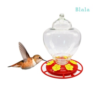 Blala Hummingbird ชุดให้อาหารนก แบบแขวน พลาสติกใส ใช้งานง่าย สําหรับให้อาหารนกกลางแจ้ง