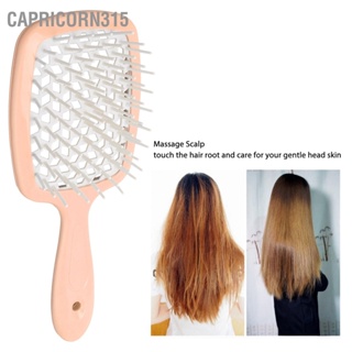 Capricorn315 Detangler Hair Brush Quick Dry Massege Scalp Vent Hollow Out สำหรับผมเปียกและแห้ง