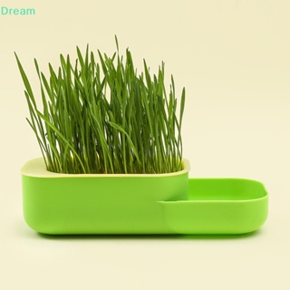 &lt;Dream&gt; ถ้วยใส่อาหาร หญ้า แมว ไร้ดิน ออกแบบตามลําดับชั้น ลดราคา