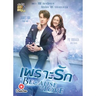 DVD เพราะรัก (Because of Love) 18 ตอนจบ (เสียง ไทย | ซับ ไม่มี) หนัง ดีวีดี