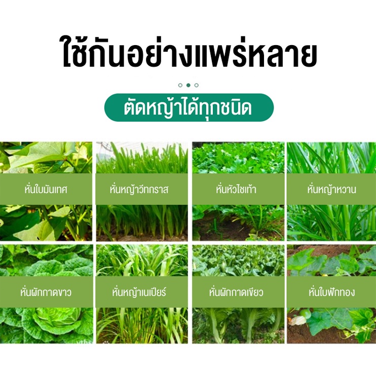 เครื่องสับหญ้า-เครื่องสับหยวก-เครื่องสับหญ้าเนเปียร์-บดหญ้าและชนิดอาหารผักอย่างง่ายดาย