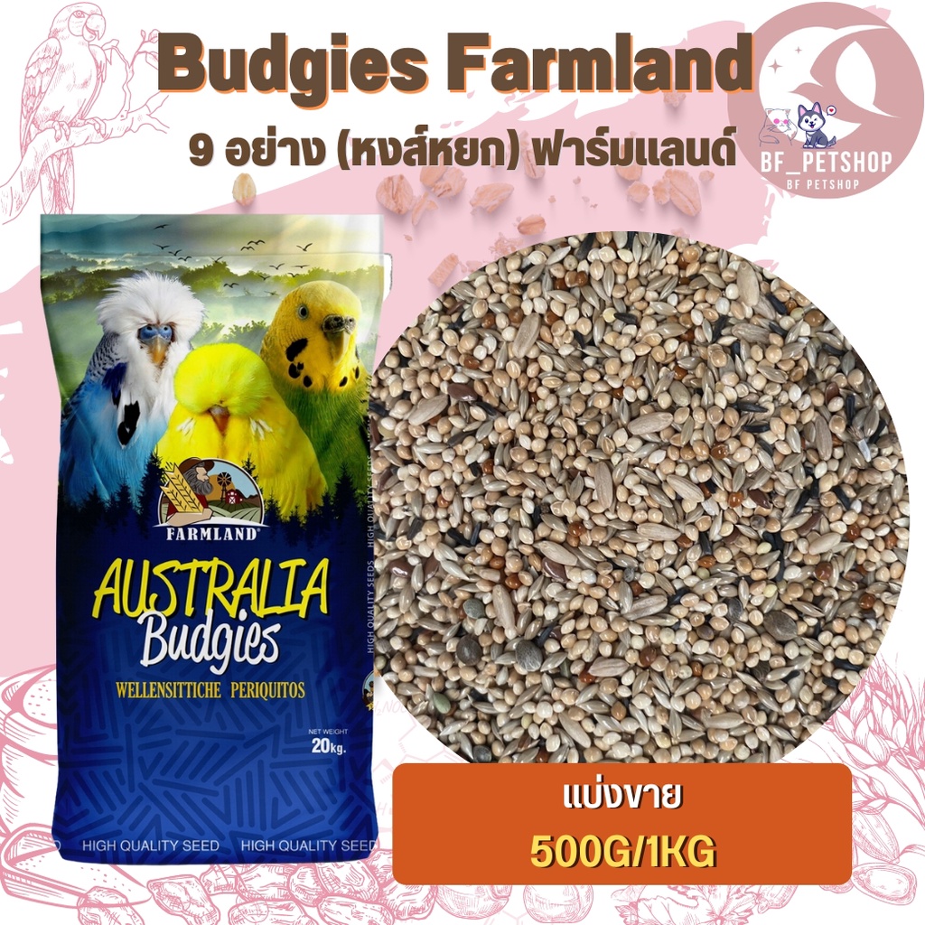 budgies-farmland-9-อย่าง-หงส์หยก-ฟาร์มแลนด์-ธัญพืชรวมสำหรับนก-ขนาดแบ่งขาย-250g-500g-1kg