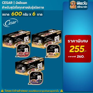 Cesar ซีซาร์ มัลติแพคทุกสูตร ขนาด 100 กรัม (x6ถาด)