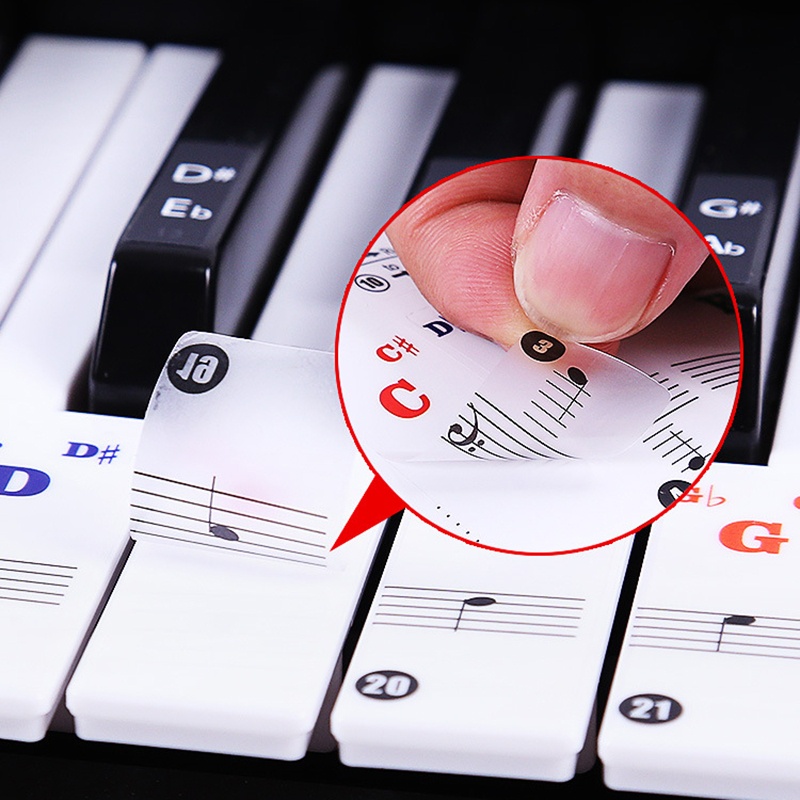 new-arrival-useful-teach-37-11mm-transparent-pvc-digital-keyboard-removable-piano-stickers