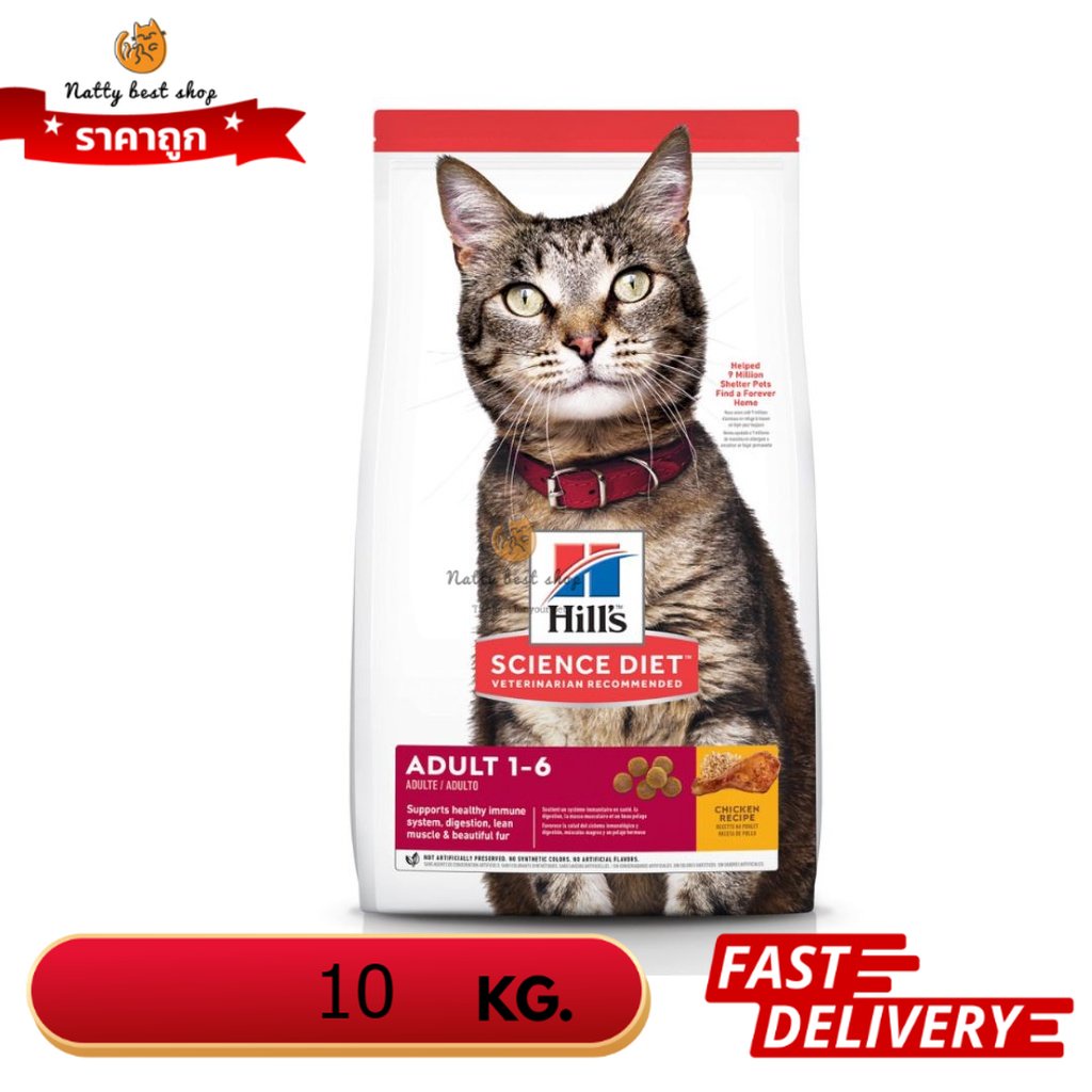 Hill's Science Diet อาหารแมว อายุ 16 ปี ขนาด 10 kg. EXP.10/2025