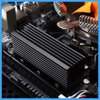 ฮีทซิงค์ระบายความร้อน EV 2280 PCI-E NVME สําหรับฮาร์ดไดรฟ์โซลิดสเตท M 2 SSD