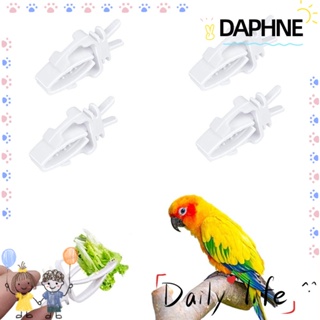 Daphne คลิปกรงนกแก้ว อุปกรณ์เสริม สําหรับนกแก้ว ผัก ผลไม้ 4 ชิ้น