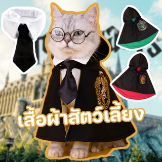 พร้อมส่ง😺💥เสื้อผ้าสัตว์เลี้ยง แฮร์รี่พอตเตอร์ ชุดแมว เสื้อผ้าหมา ฮาโลวีน คอสเพลย์นักมายากล